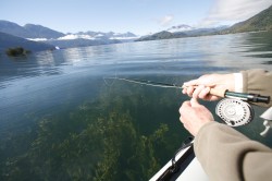 UNDERWATER VEGETATION AT SOUTH (UPPER) END OF LAKE YELCHO
