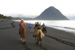 HORSEBACK RIDE ON THE BEACH COMING BACK FROM A GREAT DAY OF FISHING THE ESTUARY