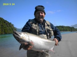 CHINOOK ON YELCHO RIVER -- THIS GROUP CAUGHT 12 THAT AFTERNOON -- DATE ON PHOTO IS DATE SENT TO ME AS THE SALMON WAS CAUGHT IN FEB. 2010