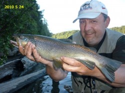 YELCHO RIVER BROWN -- DATE ON PHOTO WAS DATE SENT TO ME AS THE BROWN WAS CAUGHT IN FEB. 2010