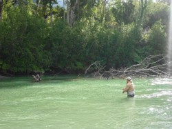FISHING THE TREE TRUNKS ON THE YELCHO RIVER