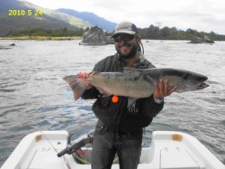 CHINOOK ON YELCHO RIVER -- CAUGHT IN MARCH 2010  (DATE ON PHOTO IS WHEN IT WAS SENT TO ME)