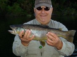 NICE BROWN -- YELCHO RIVER -- CAUGHT NOV. 09