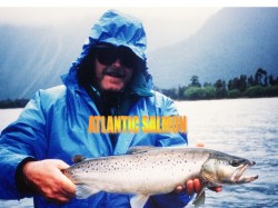 ATLANTIC SALMON -- LAKE YELCHO