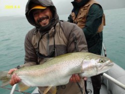 MONSTER RAINBOW-LAKE YELCHO