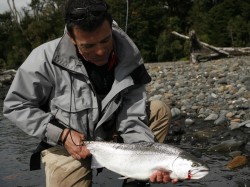 STEELHEAD -- RIO BLANCO ESTUARY -- 06