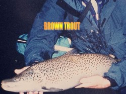 TROPHY BROWN -- RIO YELCHO