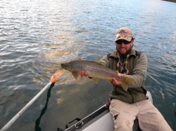 AVERAGE BROWN - LAKE YELCHO