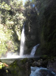 PUMALIN PARK (NORTH) - CASCADE TREK- LOWER FALLS