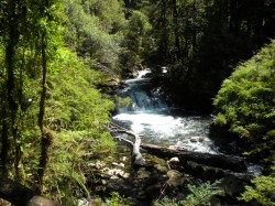 PUMALIN PARK (NORTH) - CASCADE TREK BETWEEN LOWER AND UPPER FALLS