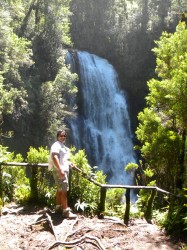 PUMALIN PARK (NORTH) - CASCADE TREK- UPPER FALLS