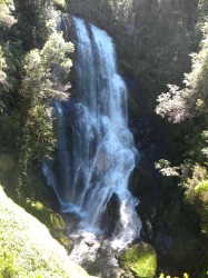 PUMALIN PARK (NORTH) - CASCADE TREK-UPPER FALLS