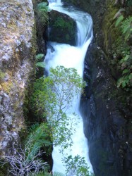 PUMALIN PARK (NORTH)- LAGUNA TRONADOR TREK TO LAKE AND WATERFALLS