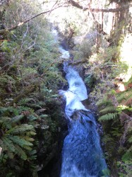 PUMALIN PARK (NORTH)- LAGUNA TRONADOR TREK TO LAKE AND WATERFALLS