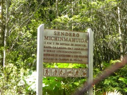 PUMALIN PARK (SOUTH)-MICHINMAHUIDA GLACIER