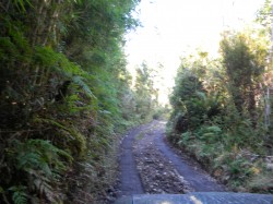 ROAD TO RIVER-AFTER REPAIR