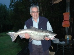 CHINOOK SALMON -- RIO YELCHO