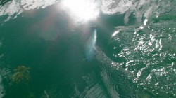 TROPHY RAINBOW TRYING TO GO DEEP