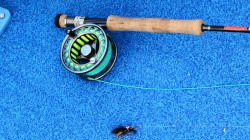 GEAR AND FLY THAT TWO WORLD RECORD WEIGHT RAINBOWS WERE CAUGHT ON IN ONE AFTERNOON-LAKE YELCHO
