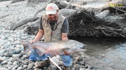 CHINOOK SALMON-YELCHO RIVER