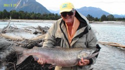 CHINOOK SALMON-YELCHO RIVER