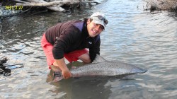 CHINOOK SALMON-YELCHO RIVER-3 CAUGHT THAT AFTERNOON