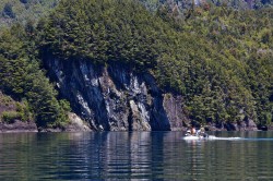 BIG BROWNS HANG OUT HERE IN LAKE YELCHO
