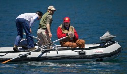 SWIMS WITH RAINBOWS (CAPTAIN BILL CURTIS)-BACK TO THE FIGHT