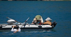SWIMS WITH RAINBOWS (CAPTAIN BILL CURTIS)-BILL IS BACK IN BOAT WITH HELP FROM PABLO AND RONNIE