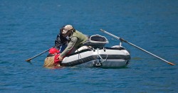 SWIMS WITH RAINBOWS (CAPTAIN BILL CURTIS)-RIGHT SIDE UP 