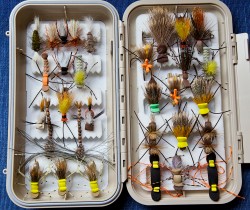 ASSORTED DRYS FOR THE LAKE