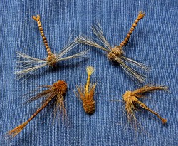 DRAGON FLIES FOR THE LAKE