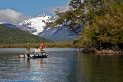 THERE IS A BIG ONE LAYING AGAINST THE SHORE