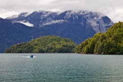 COMING BACK FOR LUNCH