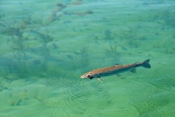 NICE RAINBOW ON THE DRY
