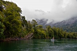 FISHING THE TREE TRUNKS ON THE RIVER
